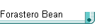Forastero Bean