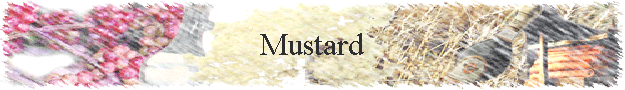 Mustard