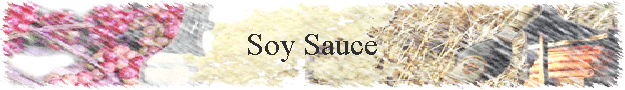 Soy Sauce