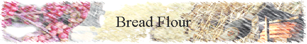 Bread Flour