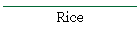 Rice