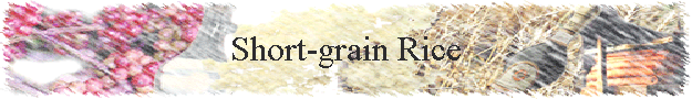 Short-grain Rice