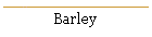 Barley