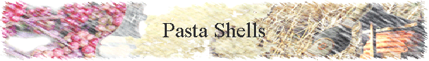 Pasta Shells