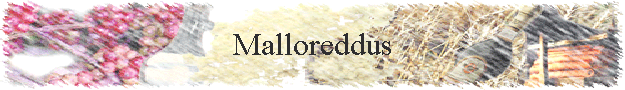 Malloreddus