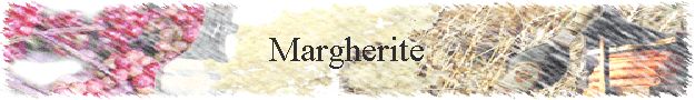 Margherite