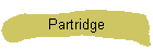 Partridge