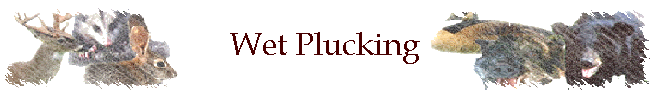 Wet Plucking