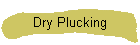 Dry Plucking