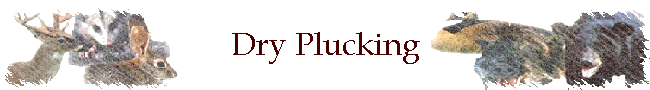 Dry Plucking