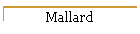 Mallard