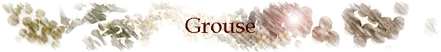 Grouse