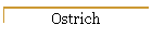 Ostrich