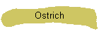 Ostrich