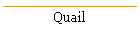 Quail