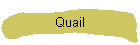 Quail