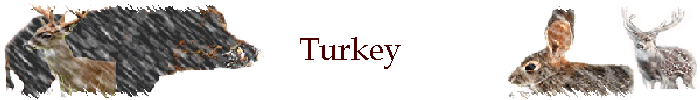 Turkey