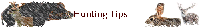 Hunting Tips