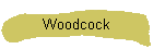 Woodcock