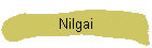 Nilgai