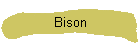 Bison