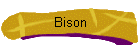 Bison