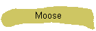 Moose