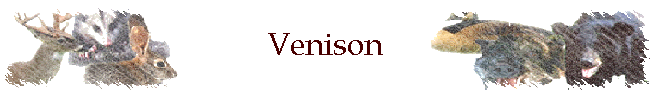 Venison