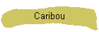 Caribou