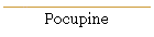 Pocupine