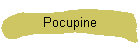 Pocupine