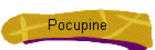 Pocupine