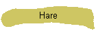 Hare