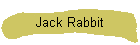 Jack Rabbit