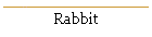 Rabbit