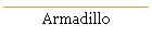 Armadillo