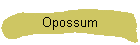 Opossum