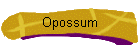 Opossum