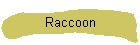 Raccoon