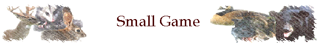 Small Game