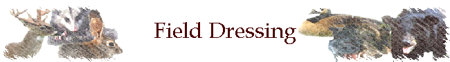 Field Dressing
