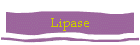 Lipase