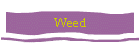 Weed