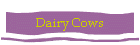 Dairy Cows