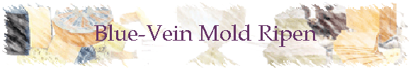 Blue-Vein Mold Ripen