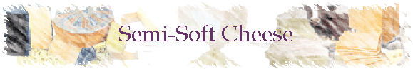 Semi-Soft Cheese