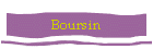 Boursin