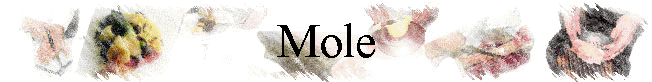 Mole