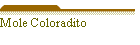 Mole Coloradito