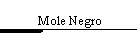 Mole Negro